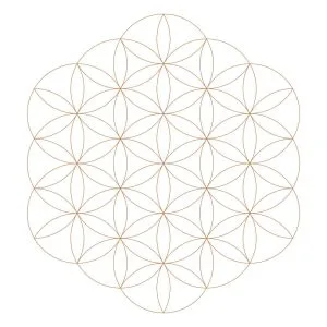 rosace-dynamique-fleur-vie-quantum-ptah