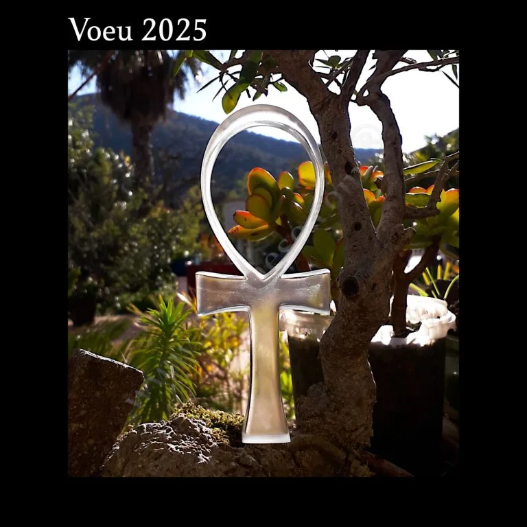 Lire la suite à propos de l’article Voeu 2025